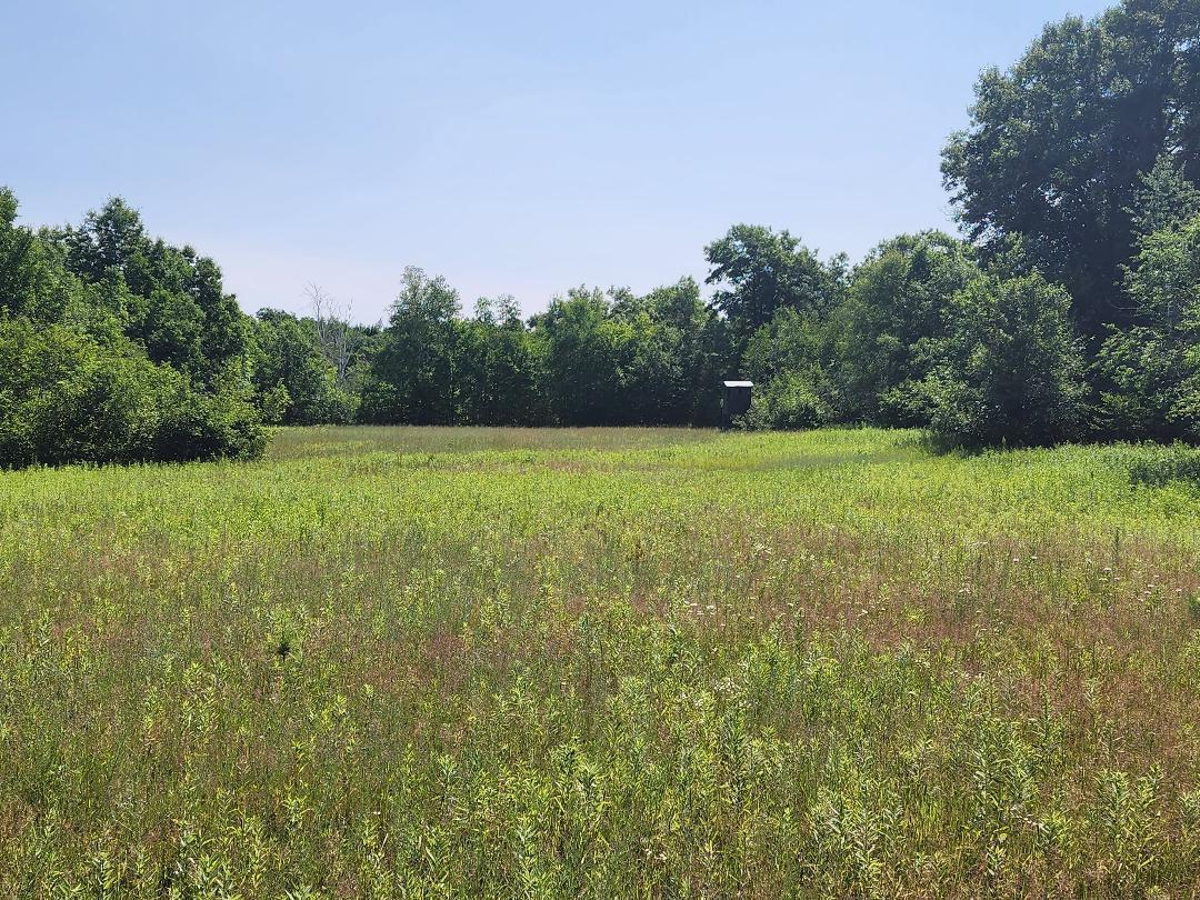 Highway 64, Auburn Twp, WI