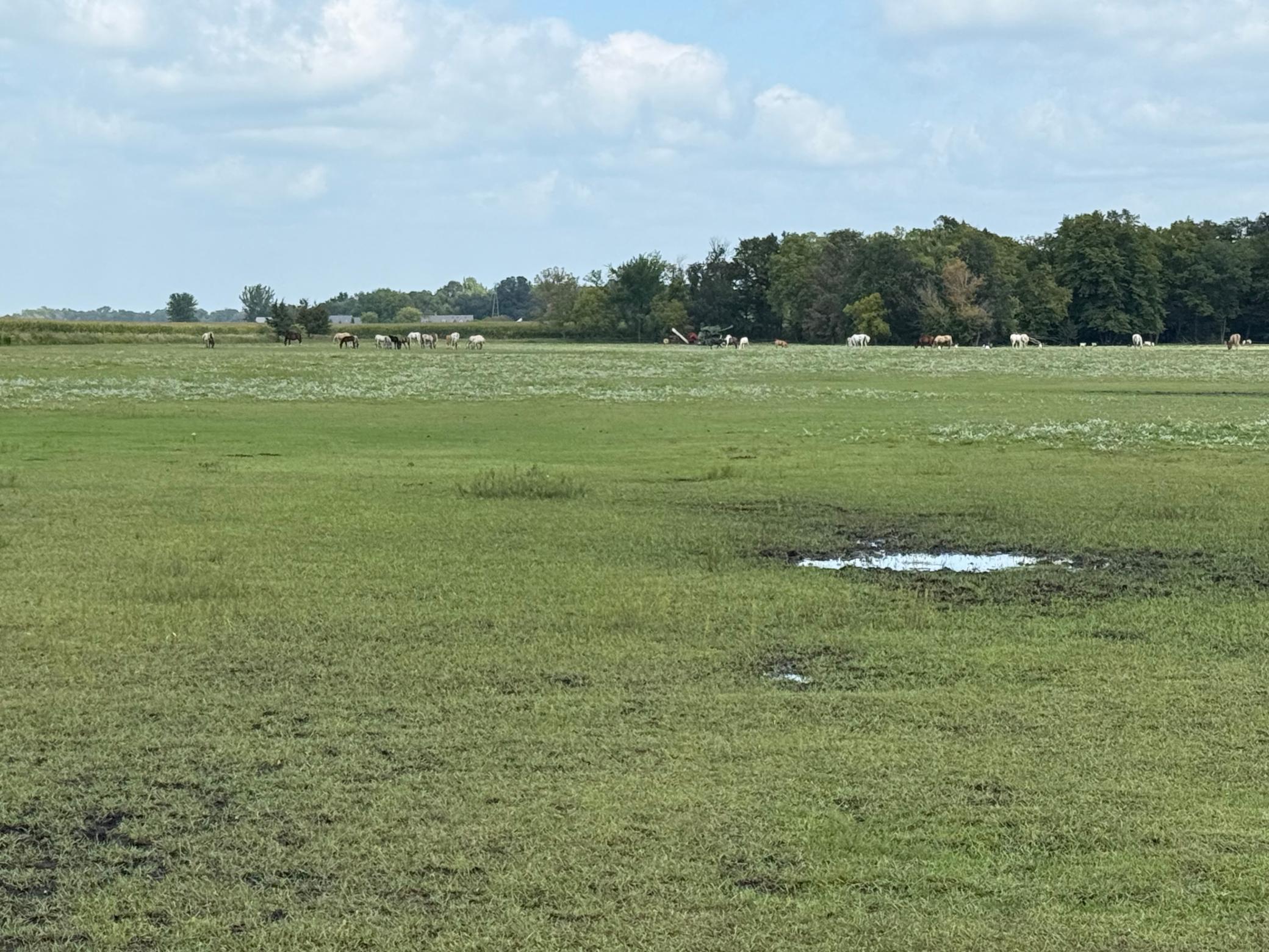 38388  512th St, North Mankato, MN