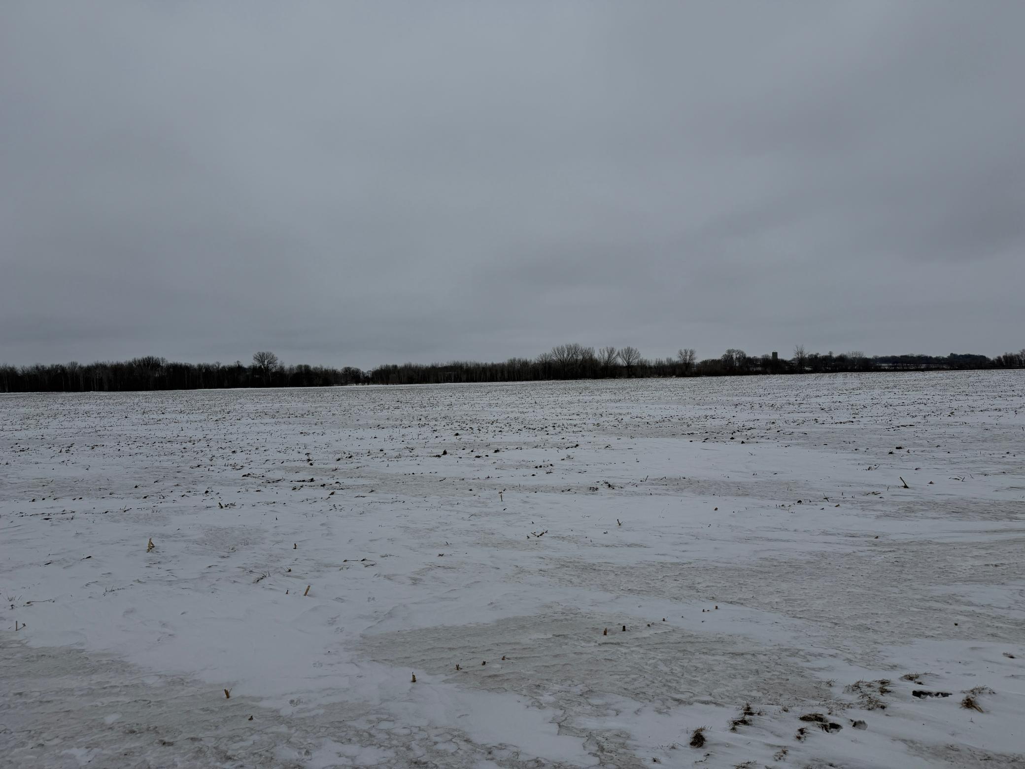 Section 31  Lake George Township, Belgrade, MN