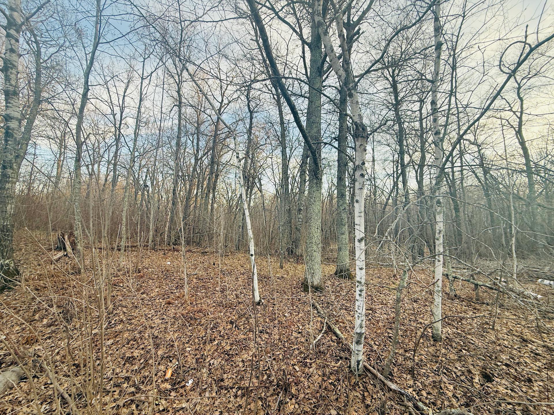 TBD  Ringneck Roost, Garrison, MN