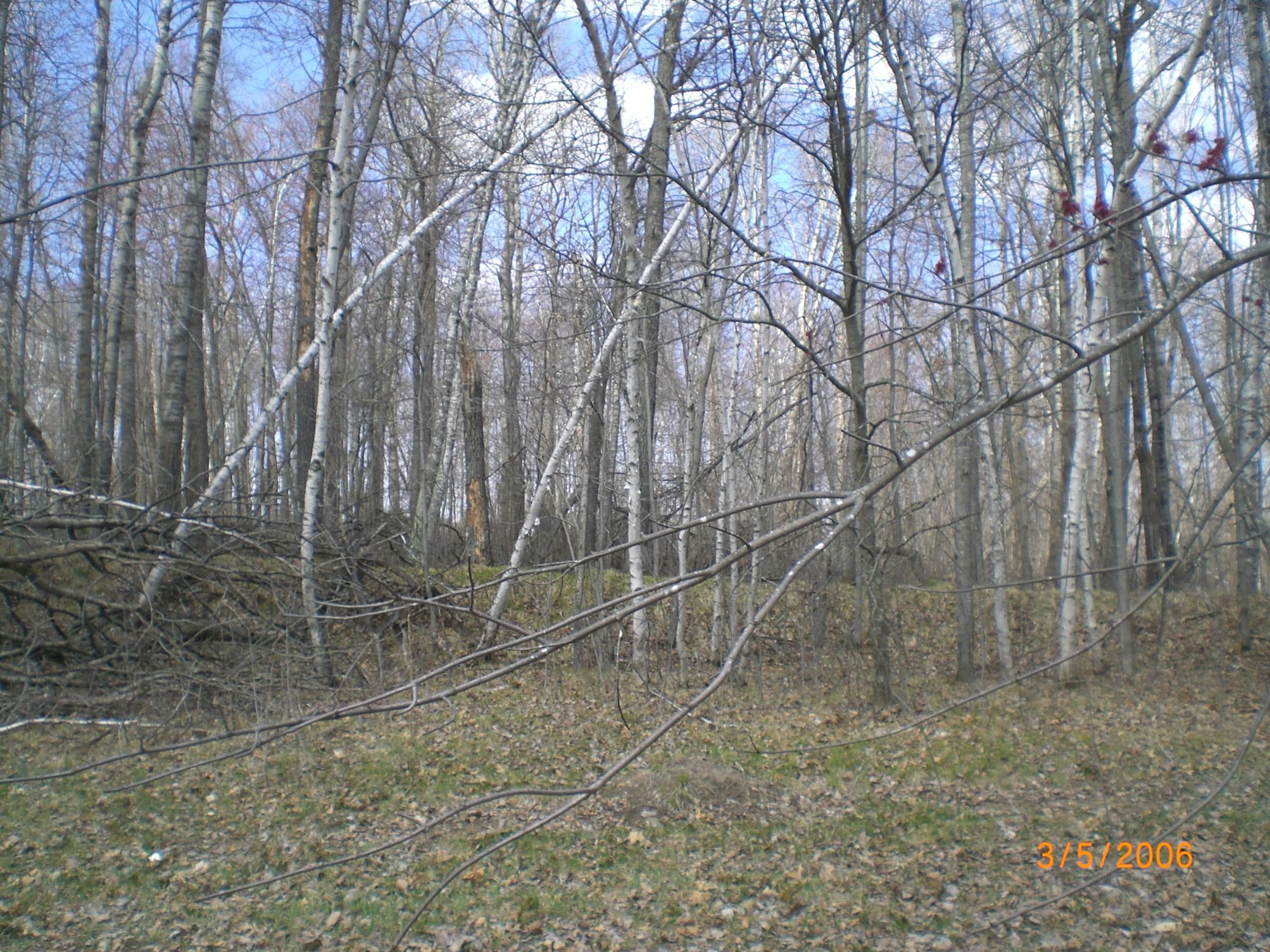 Lot 211  Catskill Circle, Breezy Point, MN
