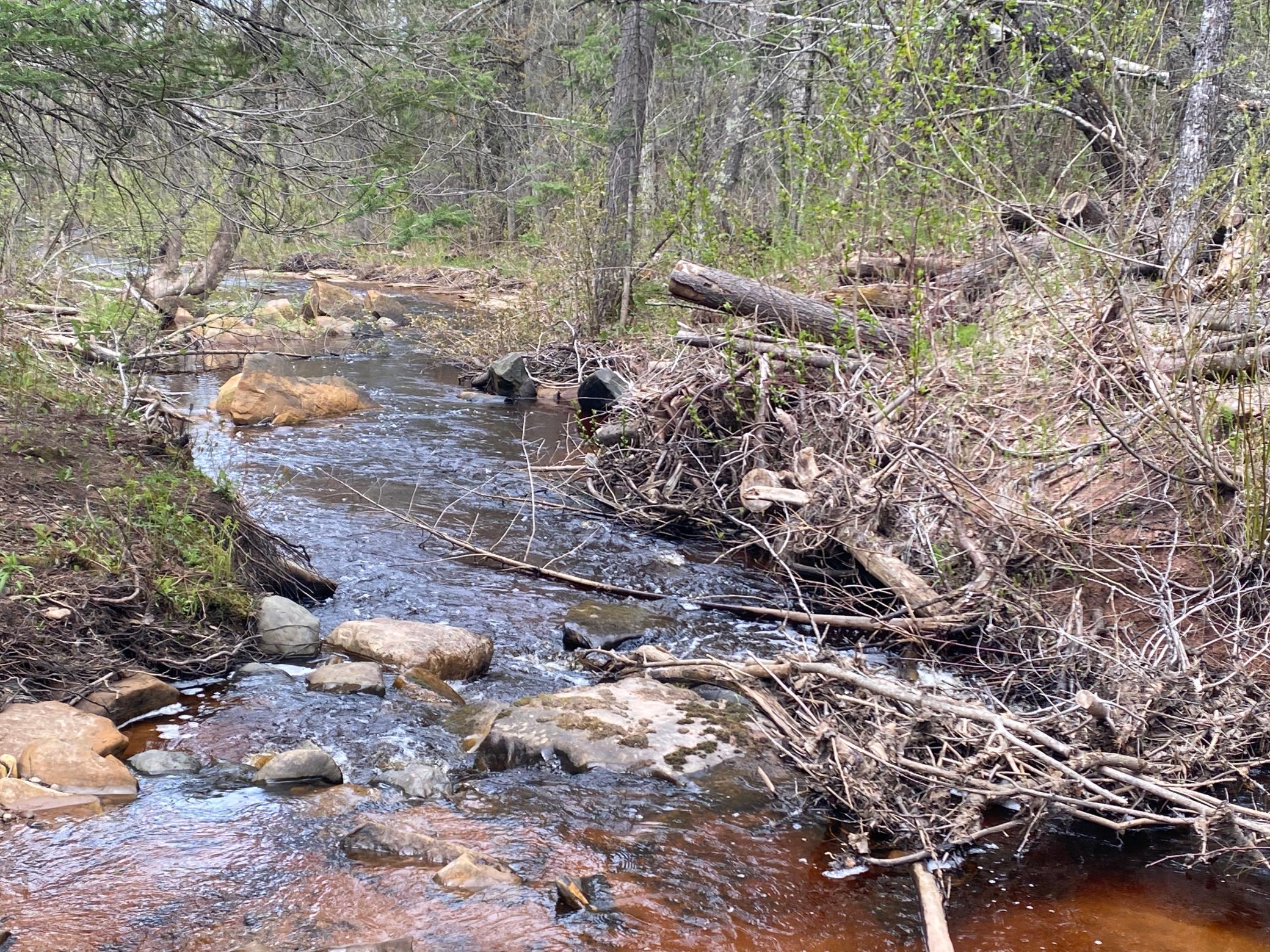 Waterfront Land xxx County Road 8, Holyoke, MN MLS 6539474