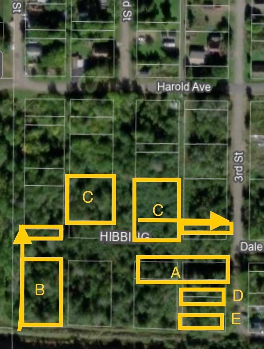 TBD  3rd Street Littonia, Hibbing, MN