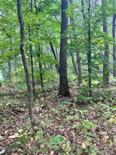 xxx  Pebble Pass, Cushing, MN