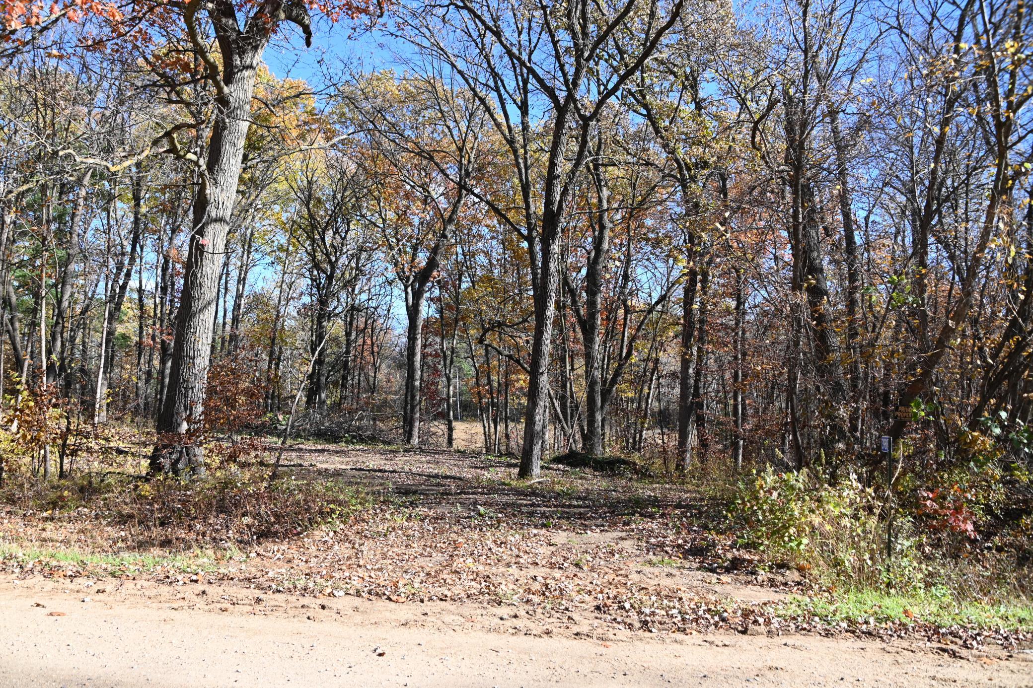 39884  Pine Island Pt Drive, Browerville, MN