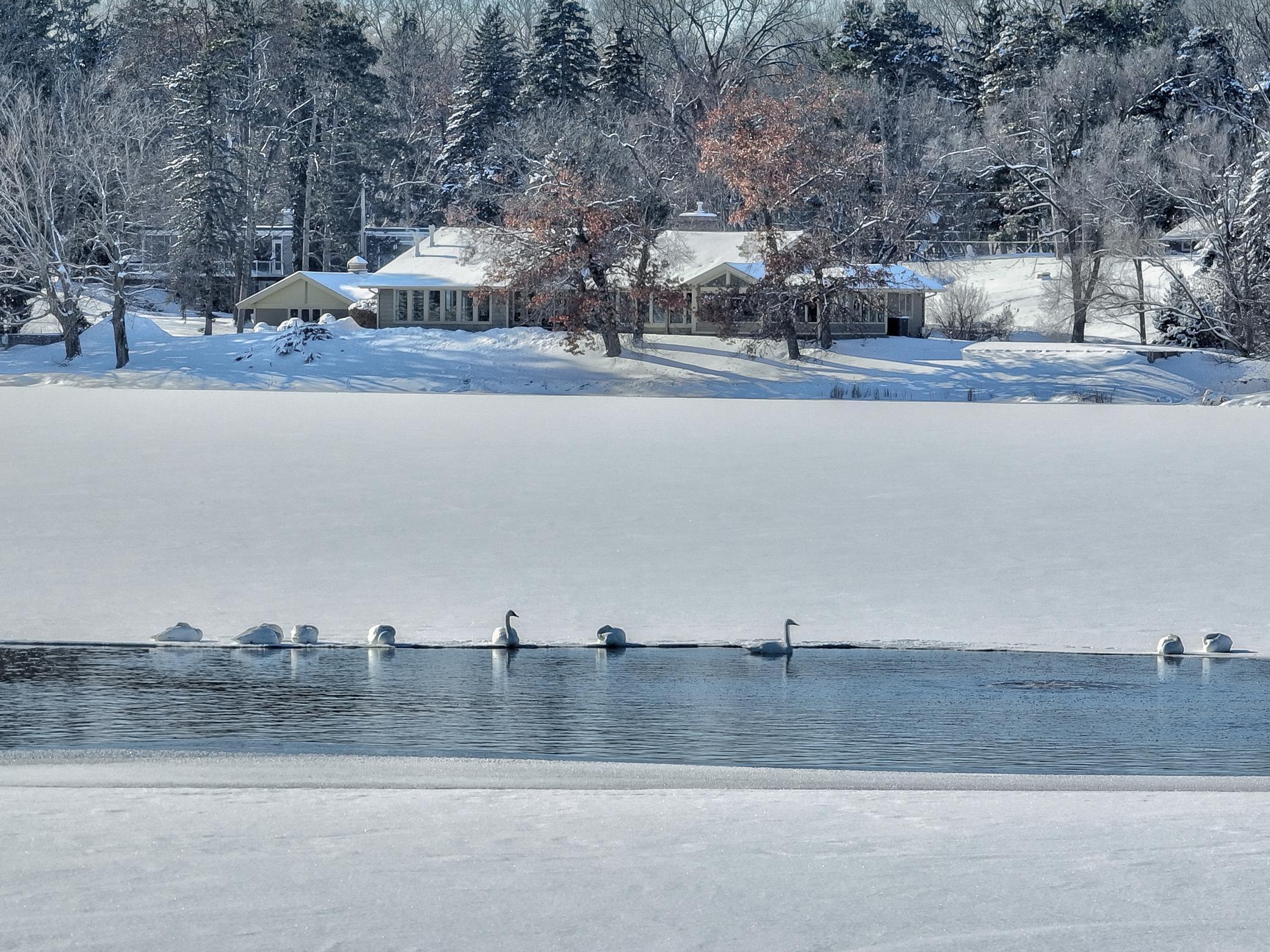 4 W Shore Road, North Oaks, MN