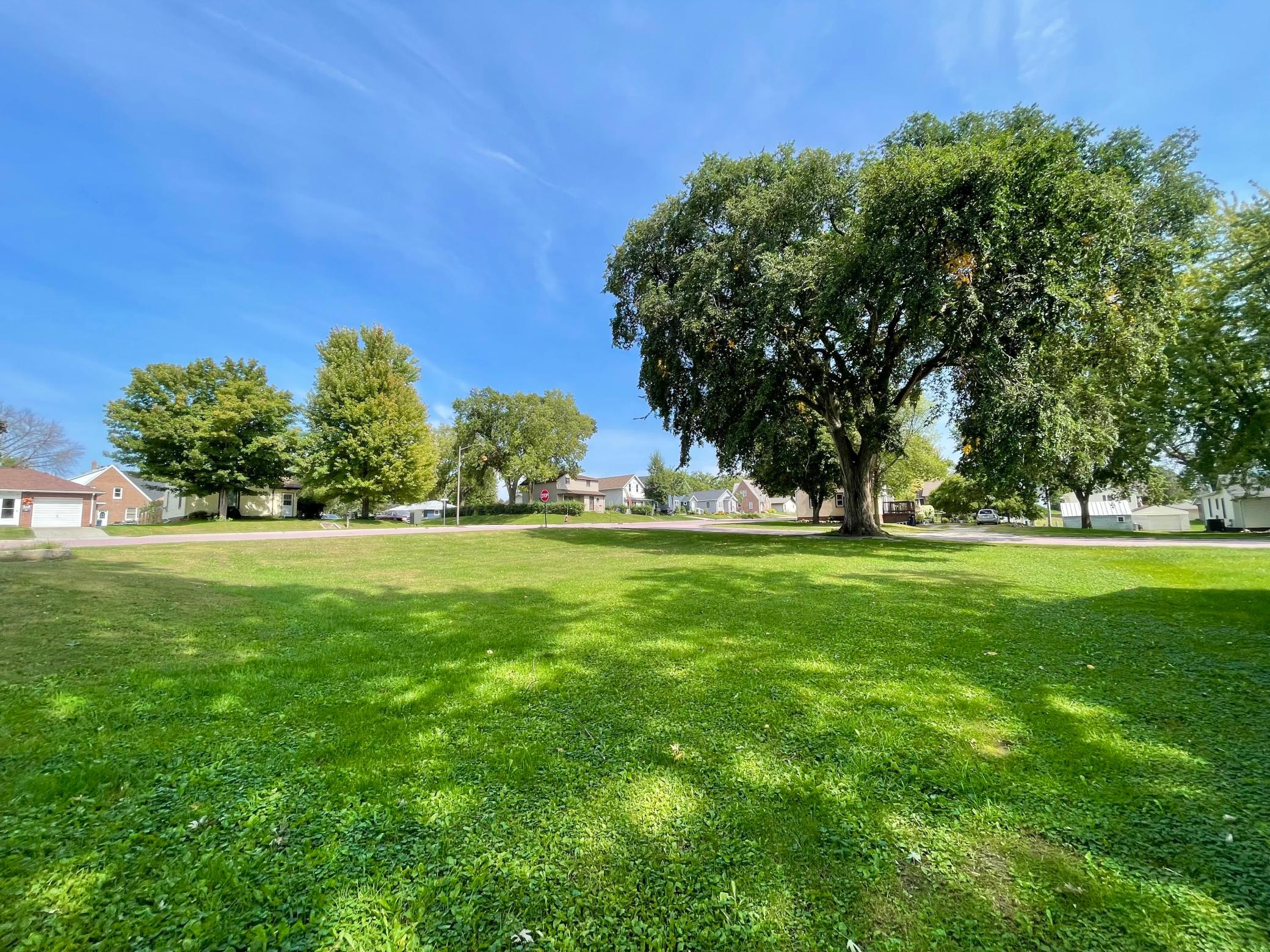 124 N Park Avenue, Springfield, MN