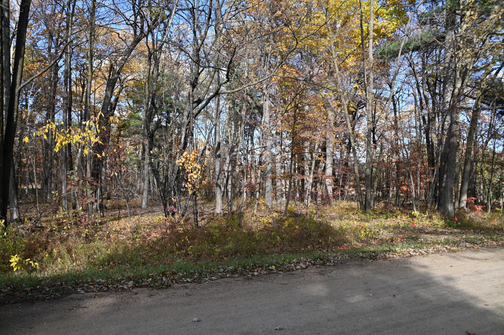 40889  Penelope Loop, Browerville, MN