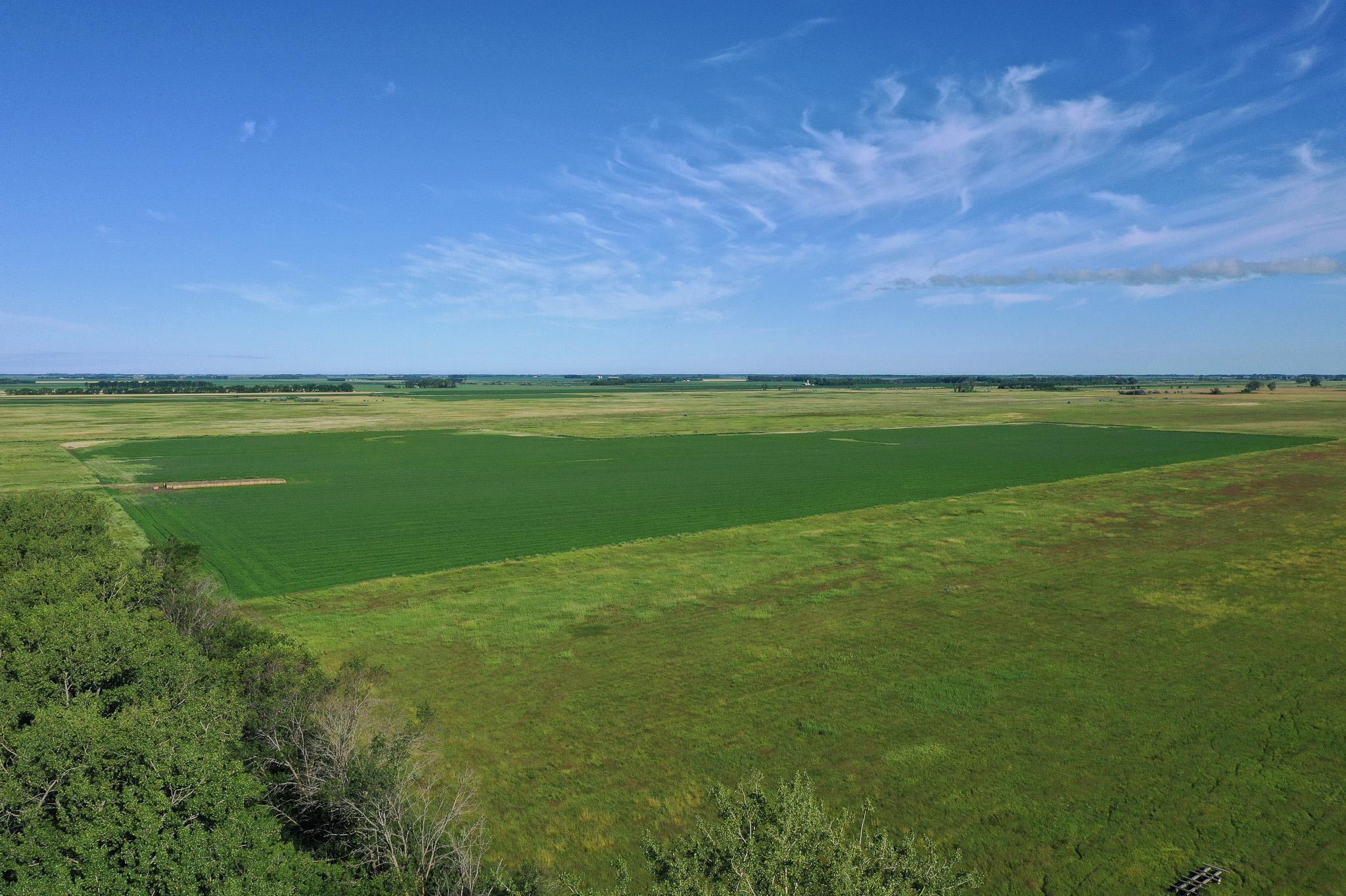 TBD  Co 26, Tanberg Twp, MN