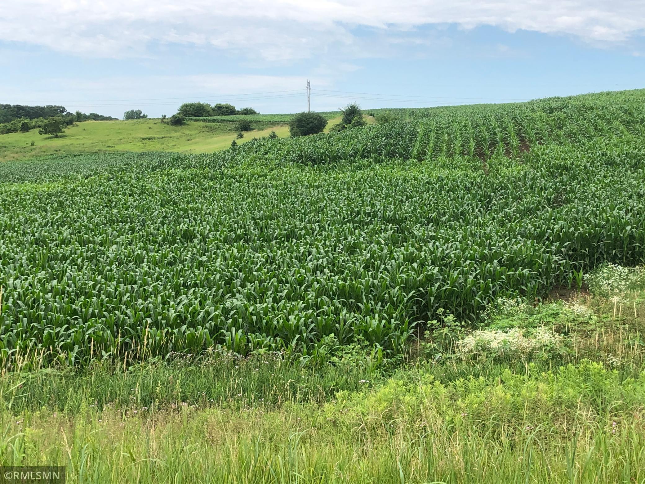 2298  Inwood Avenue N, Lake Elmo, MN