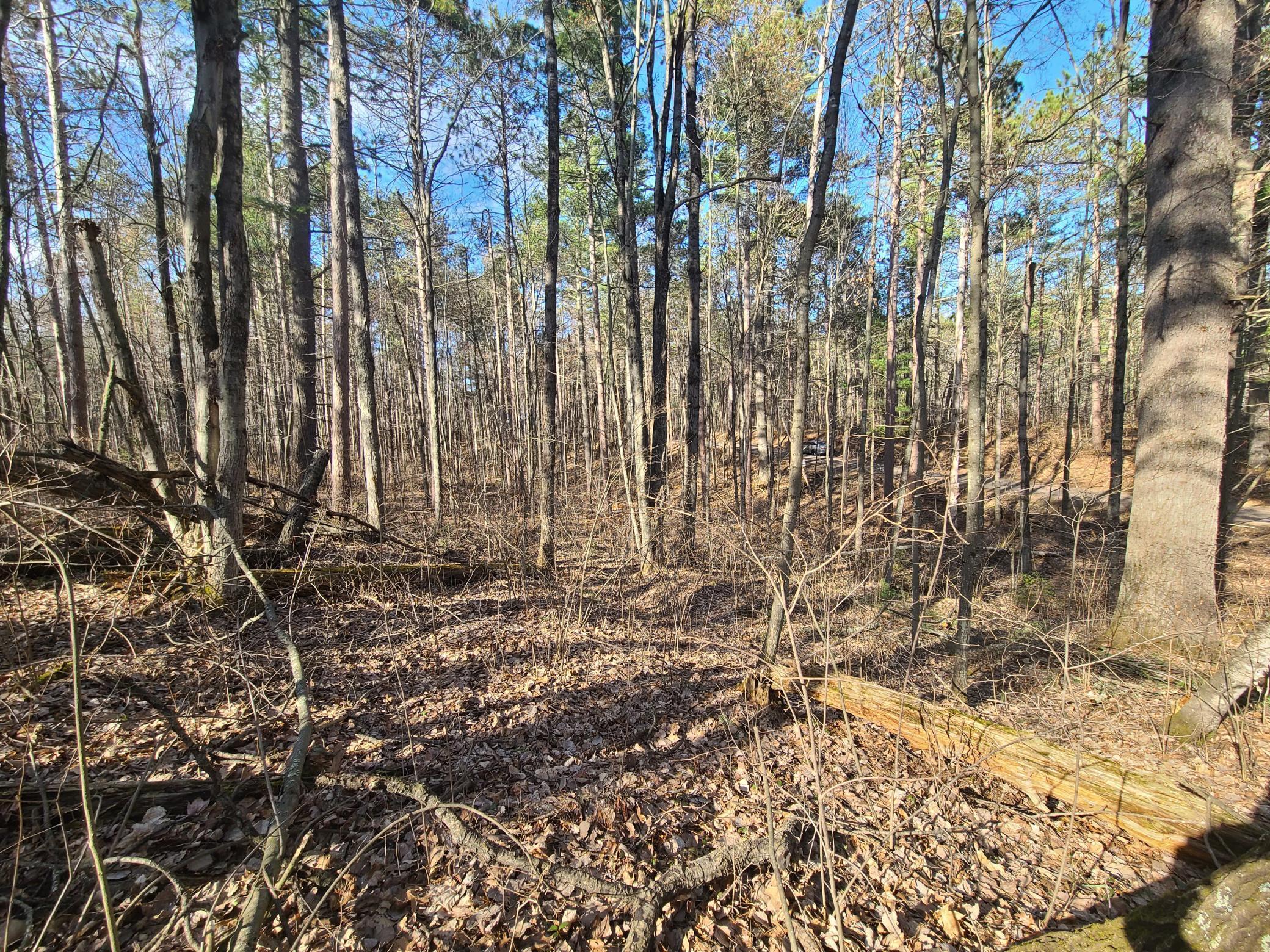 TBD N John Erickson Avenue, Hayward, WI