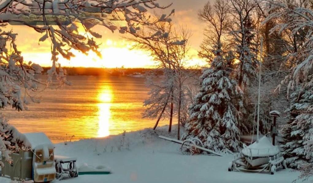 33685 N Cotton Lake Road, Rochert, MN