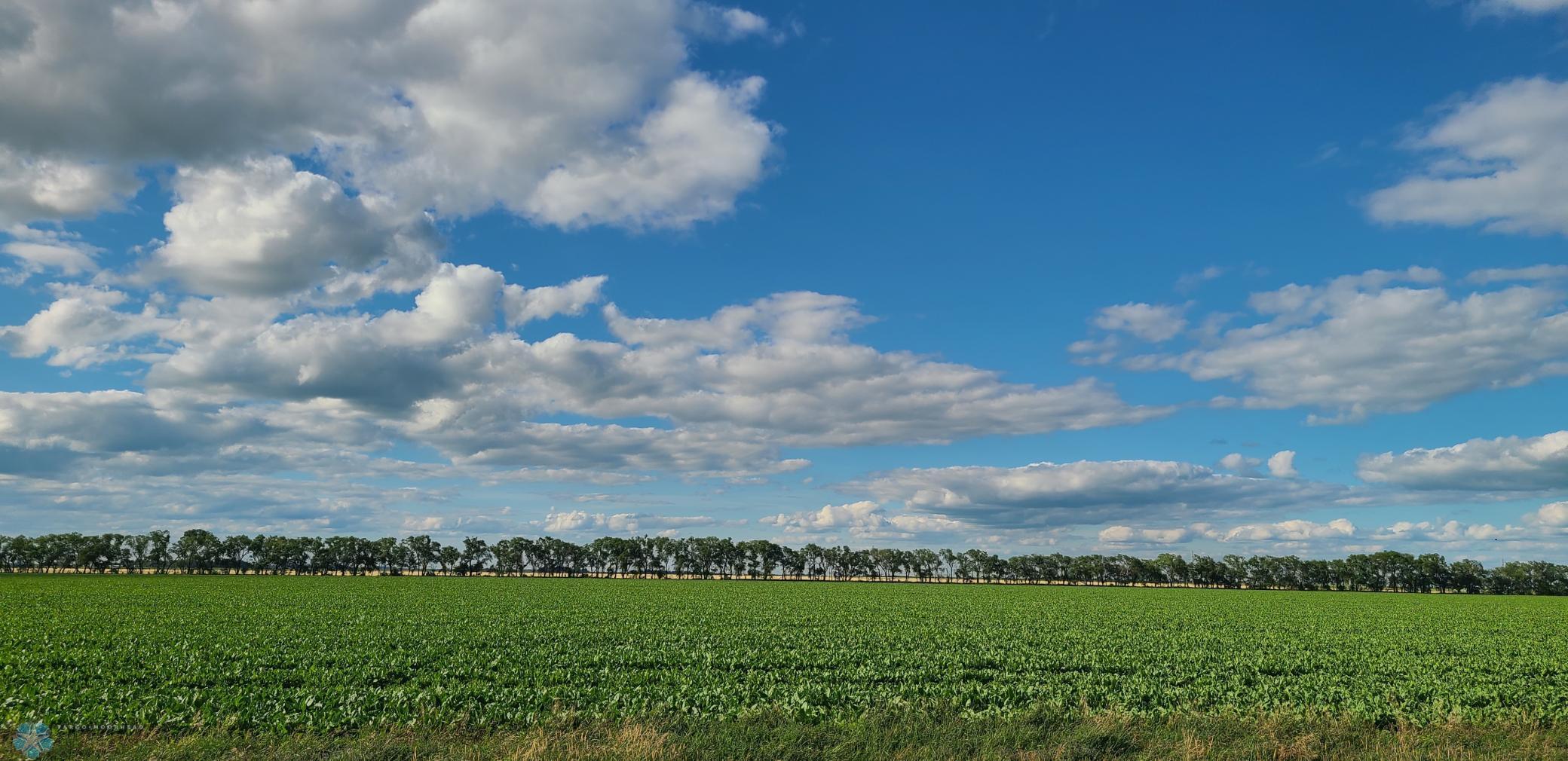 1702  110th St, Deerhorn Twp, MN