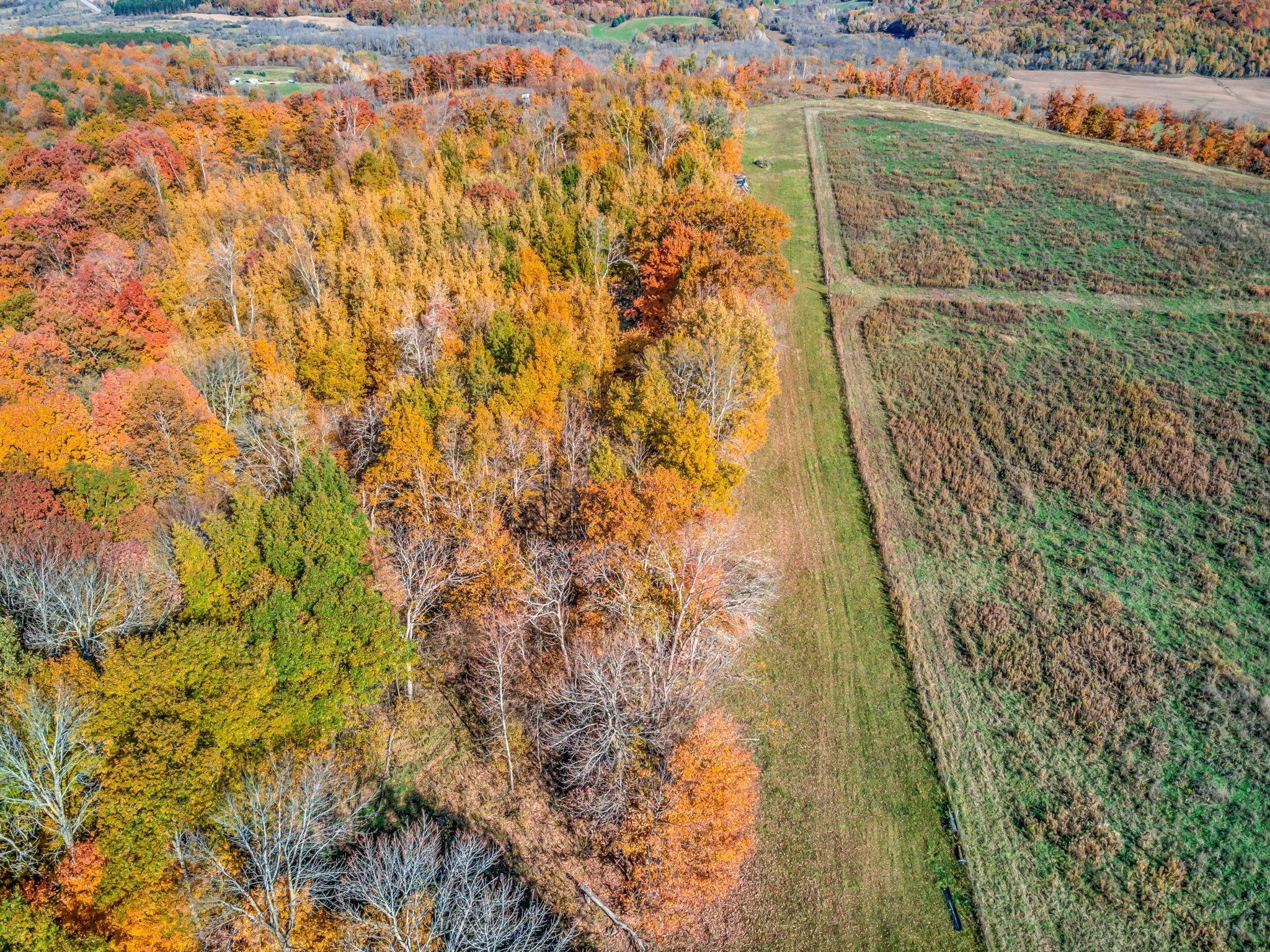 Knapp, WI Lots & Land For Sale Dunn Co 5647520