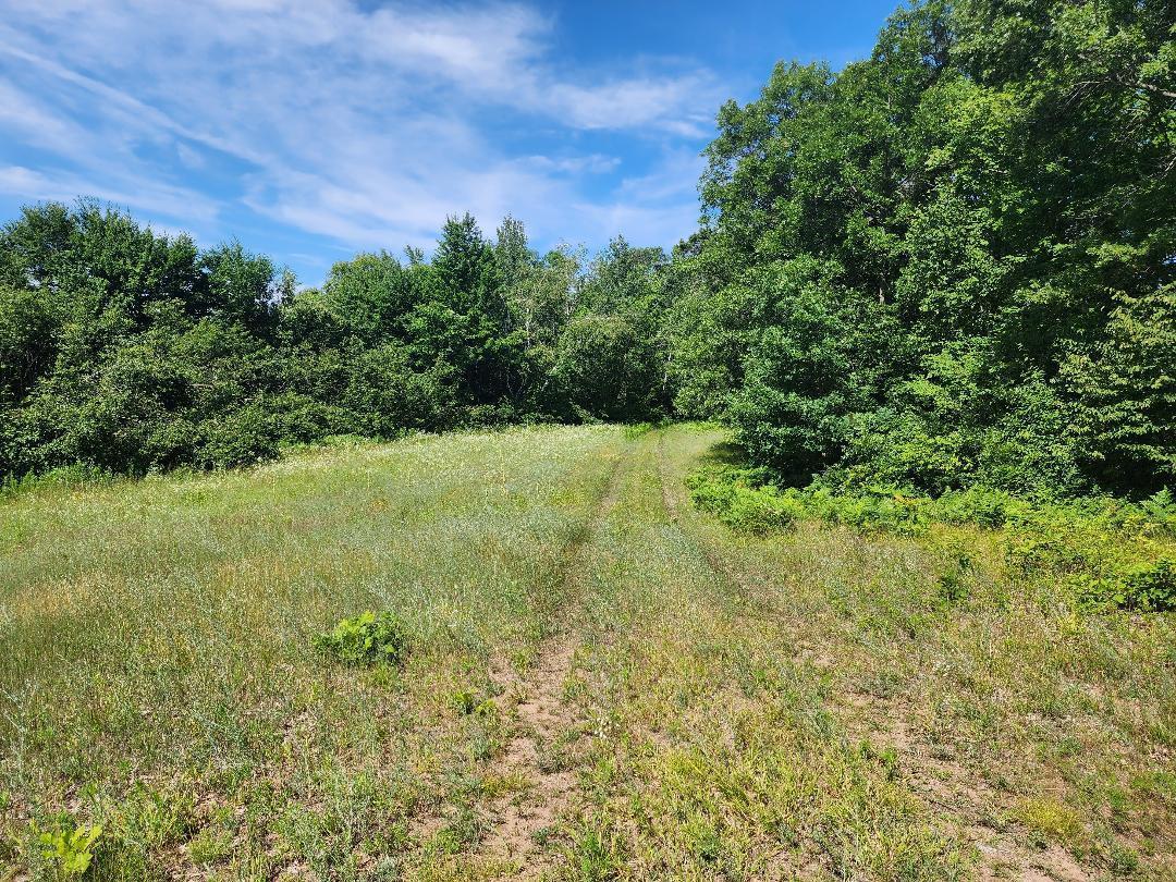 Highway 64, Auburn Twp, WI