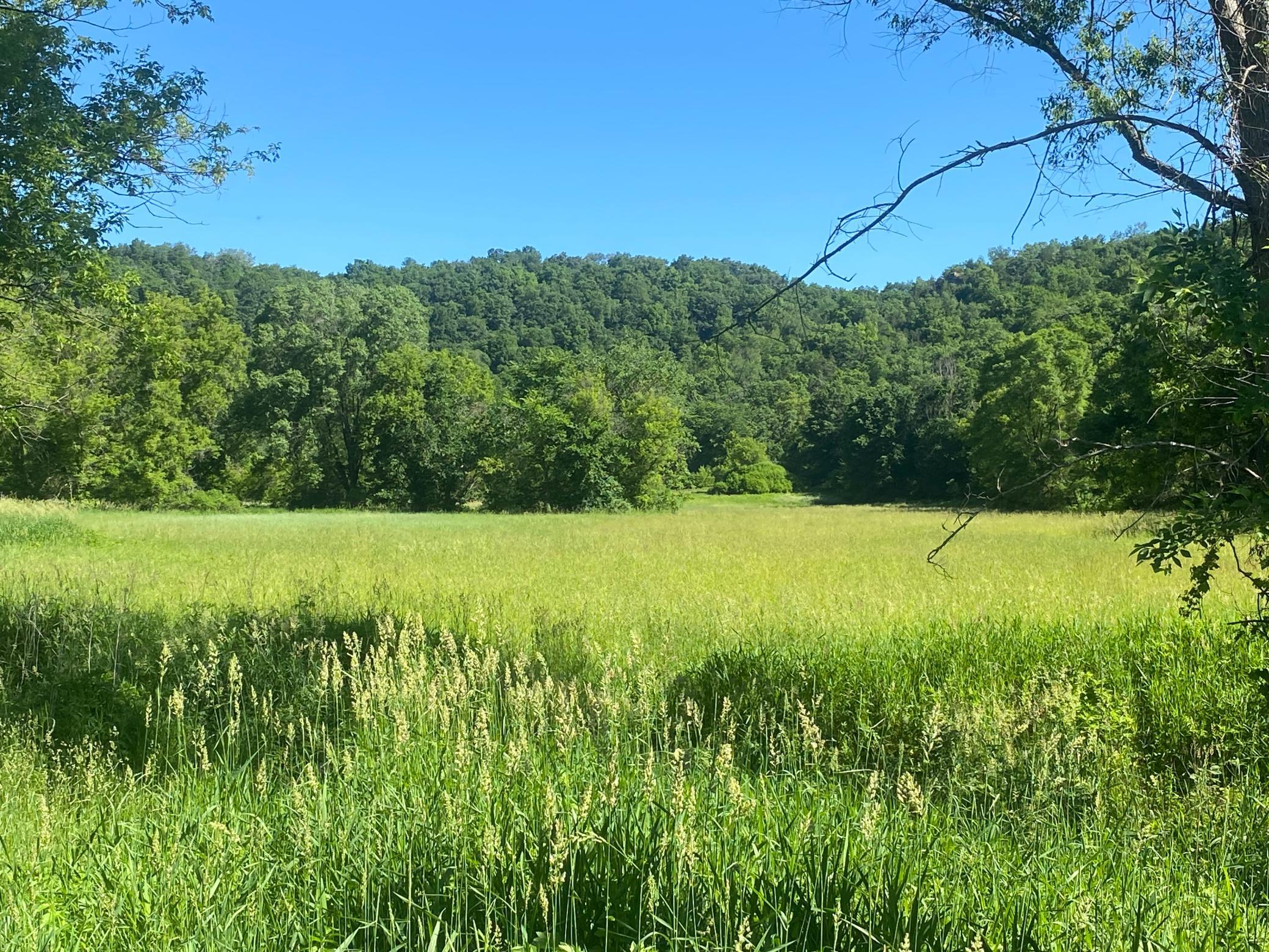 27333  Deep River Road, Lanesboro, MN