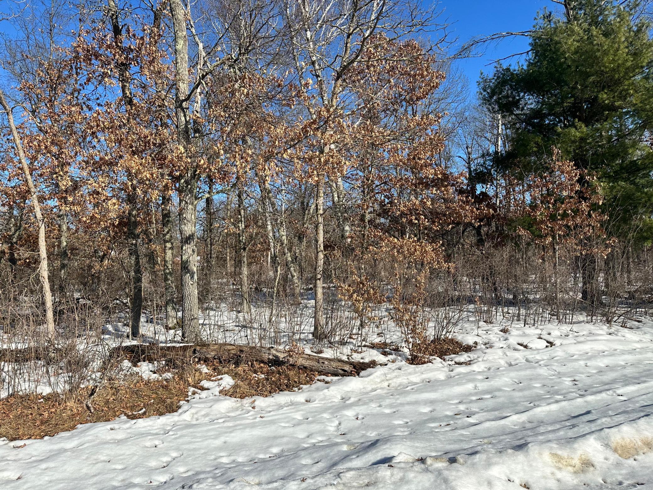 TBD  Sioux Drive, Breezy Point, MN