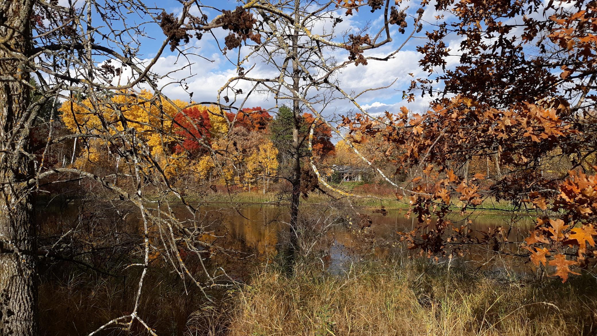 XXX  Oriole Court, Browerville, MN