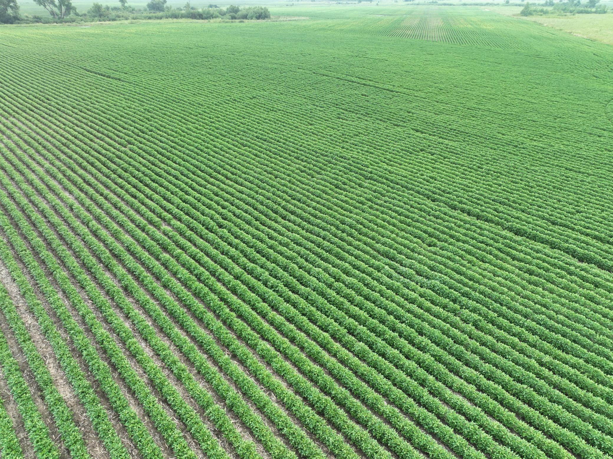   45th Street NE, Benson, MN