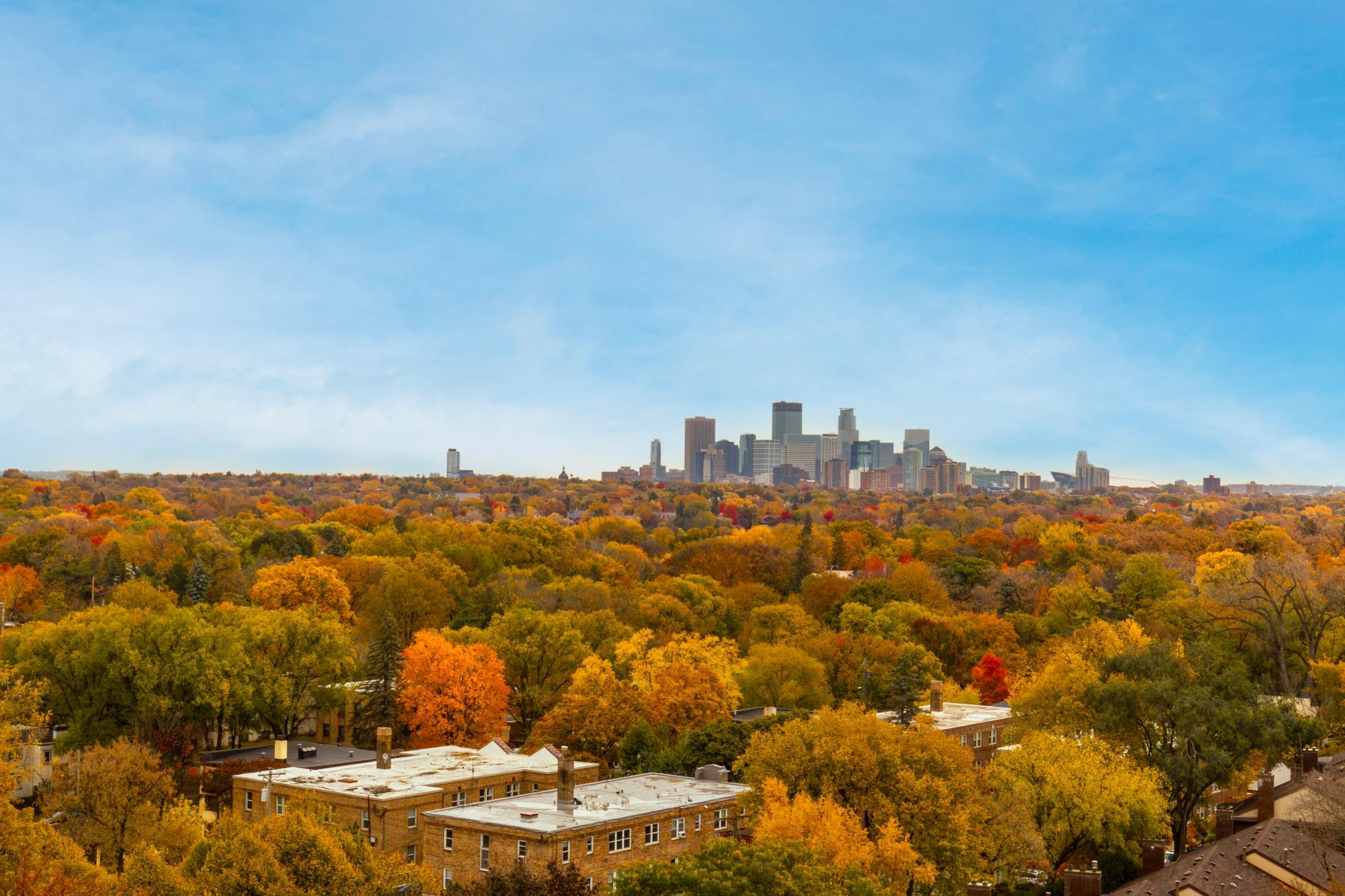 3145  Dean Court, Minneapolis, MN