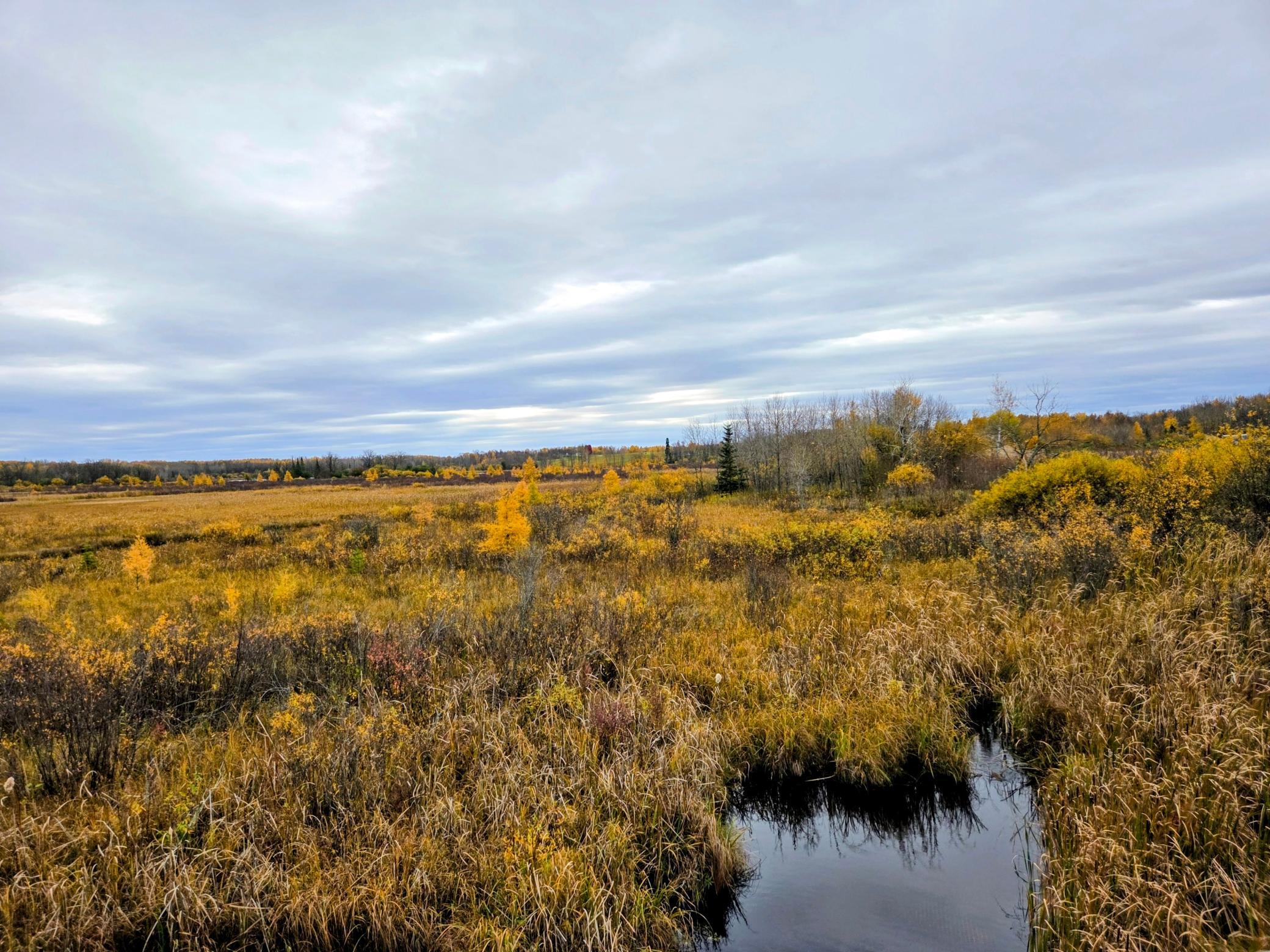 111  ATV Snowmobile Trail Bridge, Blackduck, MN