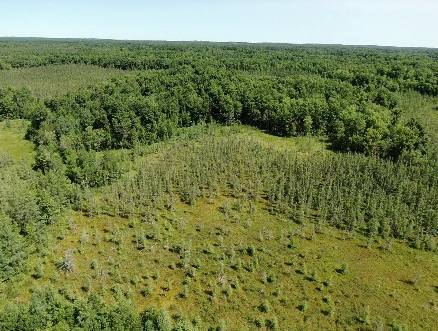 Highway 64, Auburn Twp, WI