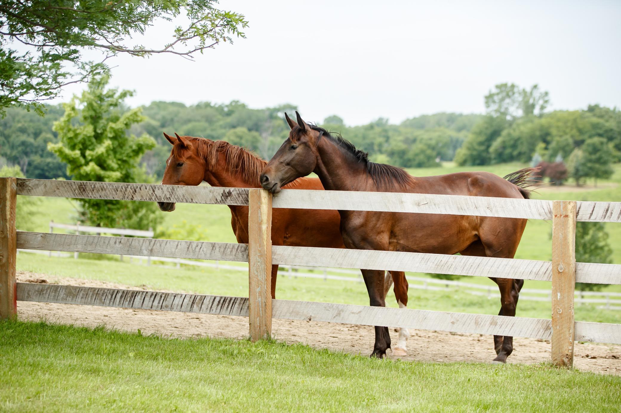 9685  County Road 13  SE, Delano, MN