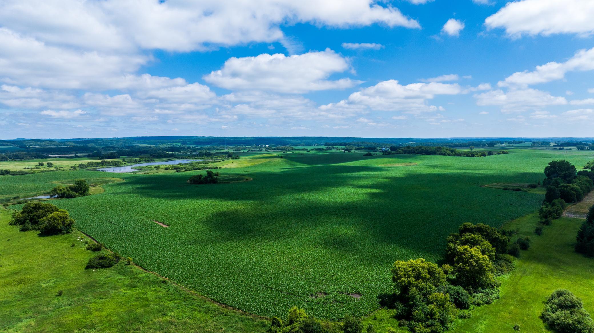 TBD  370 St Lot 190.52, Erhard, MN