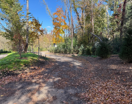 445  Bovey Road, Wayzata, MN