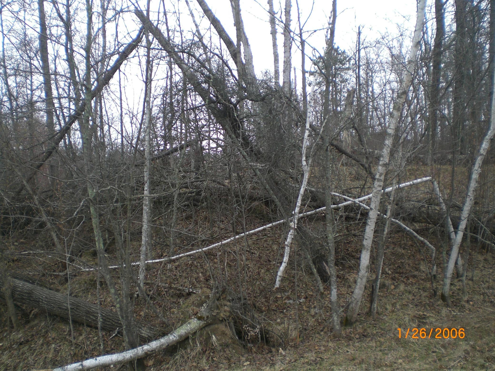 Lot 18  Terminal Road, Breezy Point, MN
