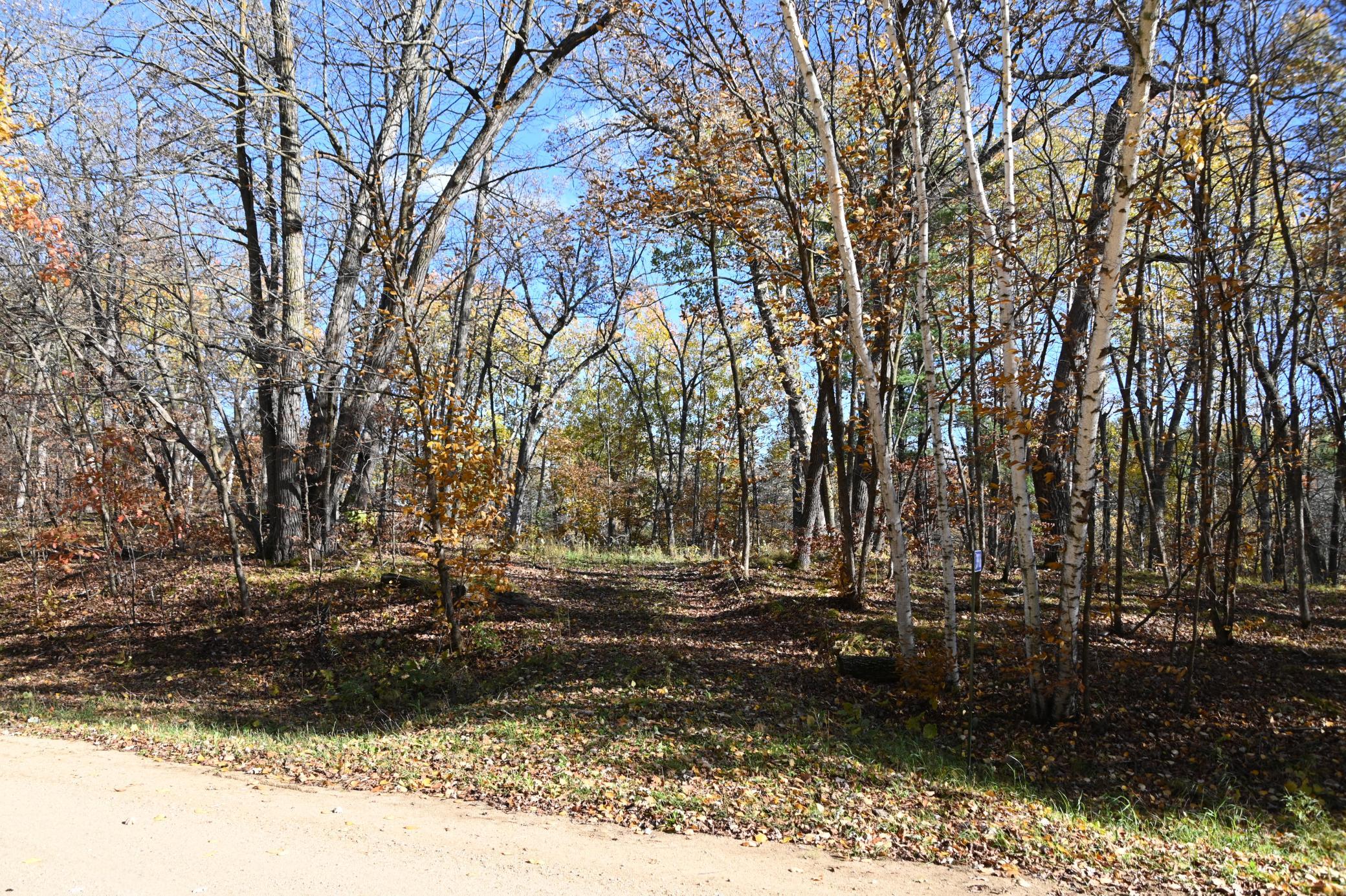 39906  Pine Island Pt Drive, Browerville, MN